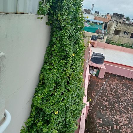 الشقق الفندقية شينايفي  Allamanda Abode المظهر الخارجي الصورة